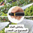 رشاش الماء